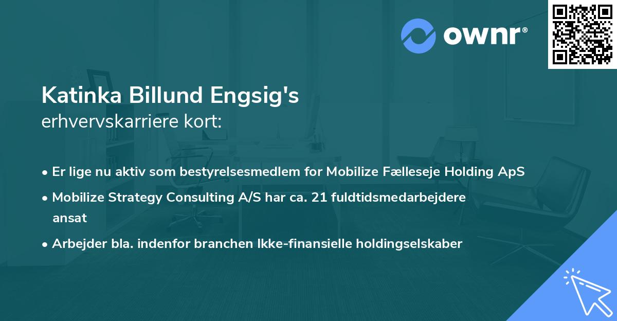 Katinka Billund Engsig's erhvervskarriere kort