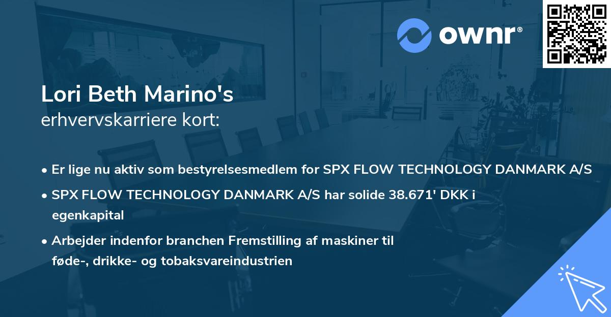 Lori Beth Marino's erhvervskarriere kort