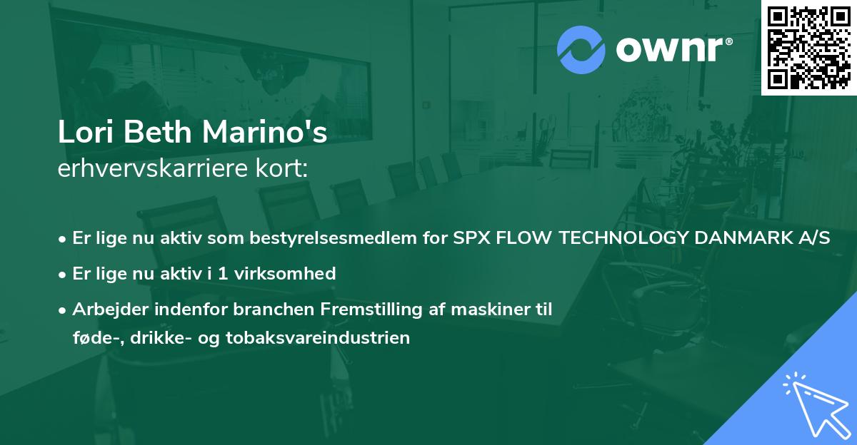 Lori Beth Marino's erhvervskarriere kort