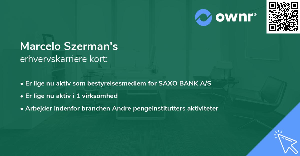 Marcelo Szerman's erhvervskarriere kort