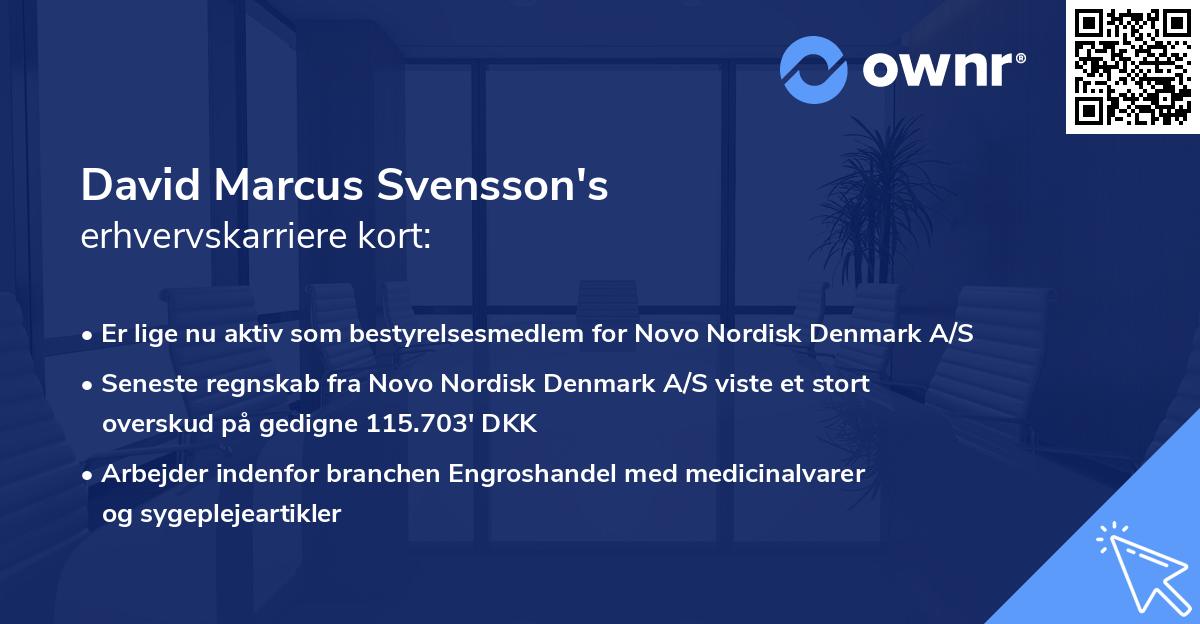 David Marcus Svensson's erhvervskarriere kort