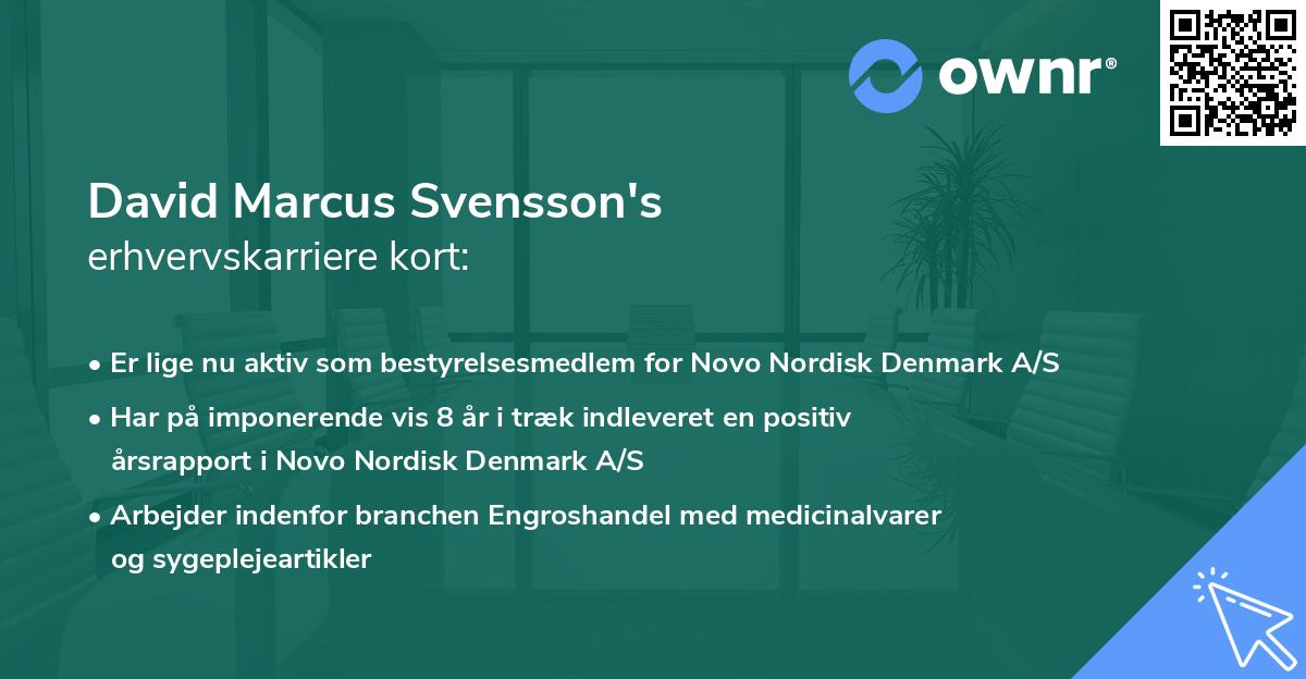 David Marcus Svensson's erhvervskarriere kort