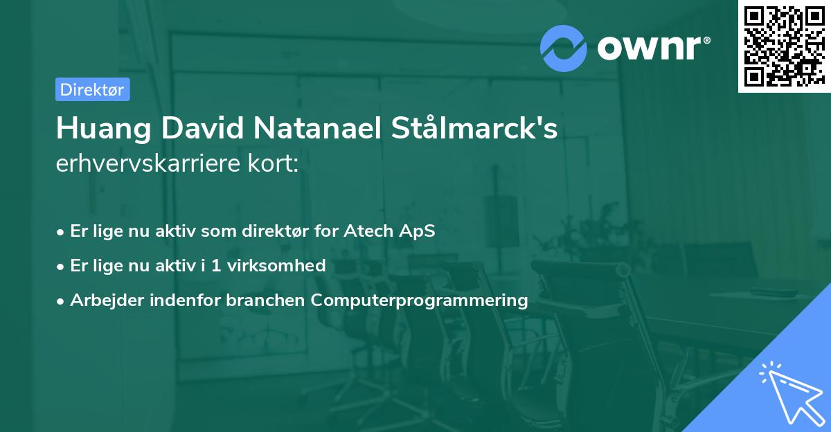 Huang David Natanael Stålmarck's erhvervskarriere kort