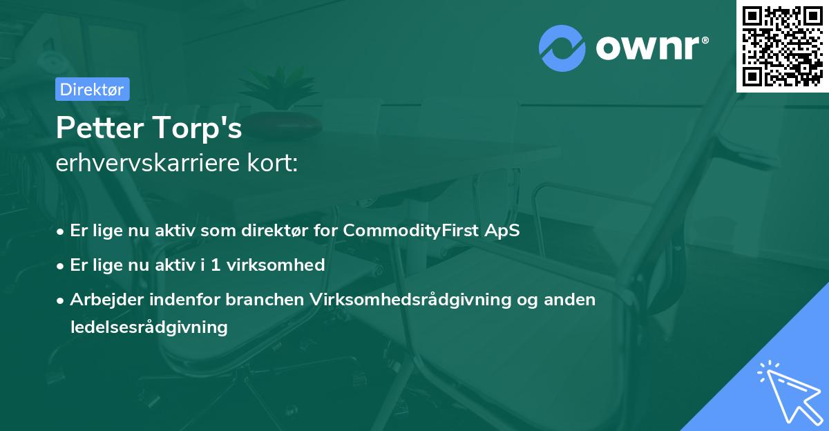 Petter Torp's erhvervskarriere kort
