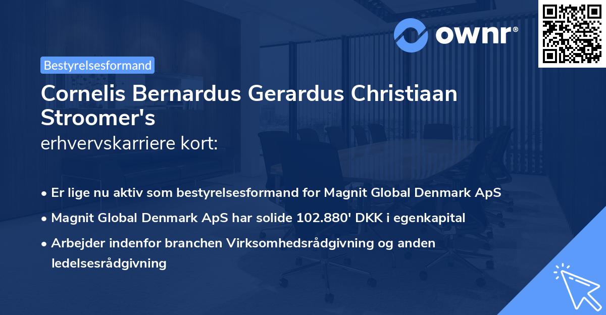 Cornelis Bernardus Gerardus Christiaan Stroomer's erhvervskarriere kort