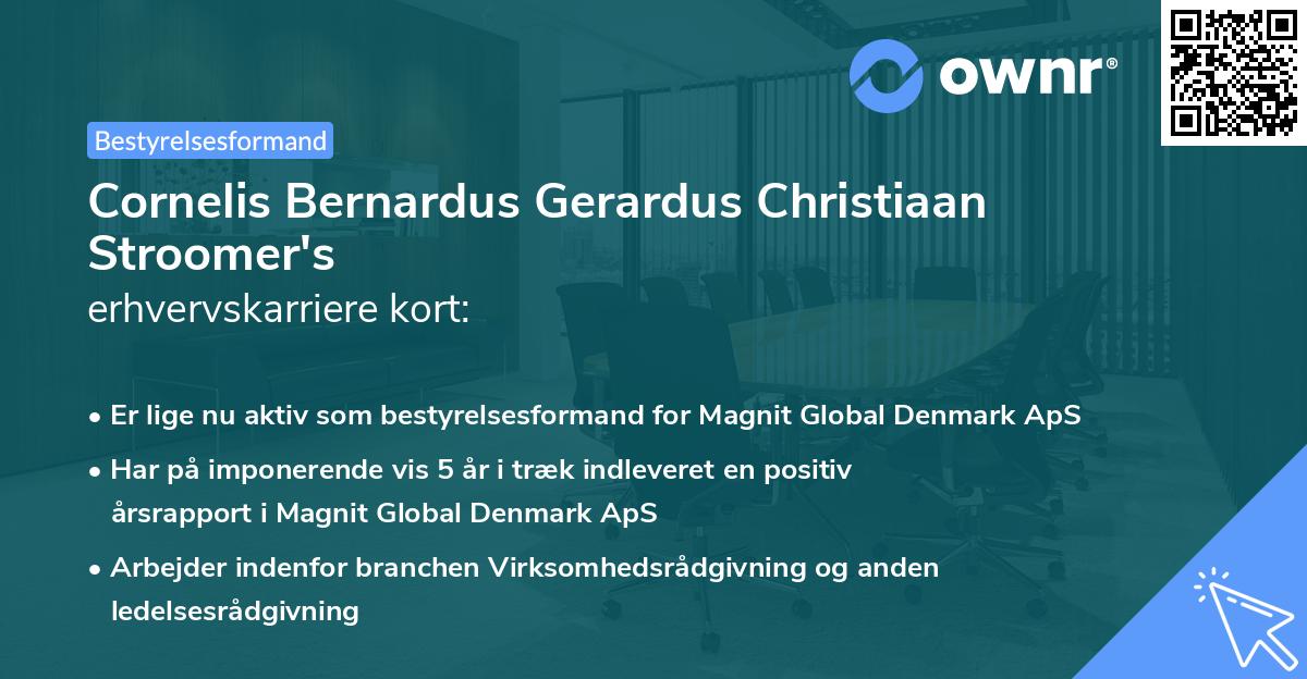 Cornelis Bernardus Gerardus Christiaan Stroomer's erhvervskarriere kort