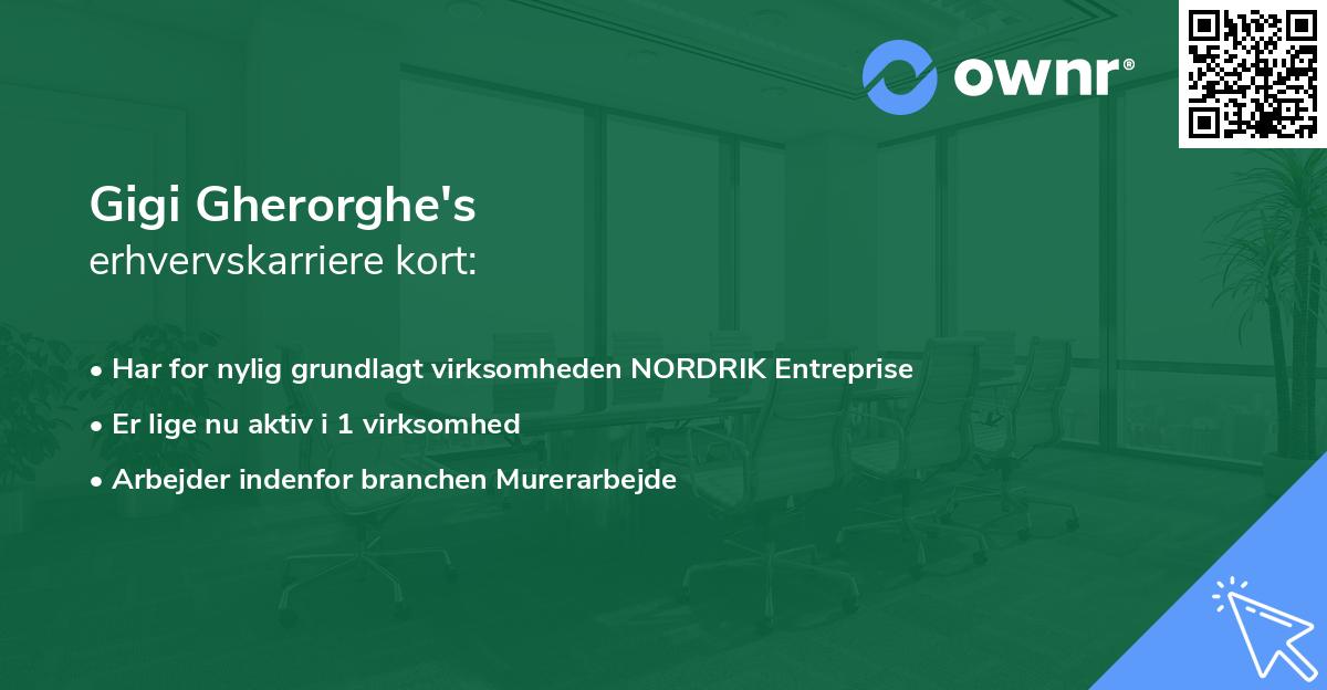 Gigi Gherorghe's erhvervskarriere kort