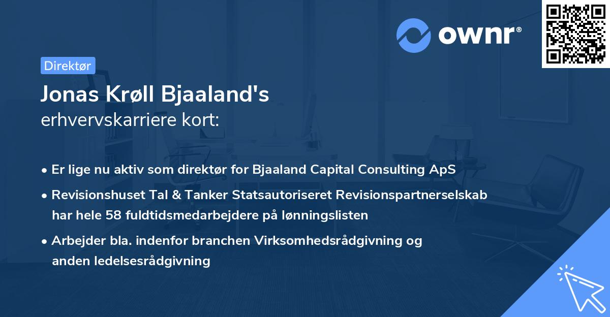 Jonas Krøll Bjaaland's erhvervskarriere kort
