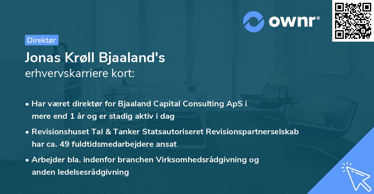 Jonas Krøll Bjaaland's erhvervskarriere kort