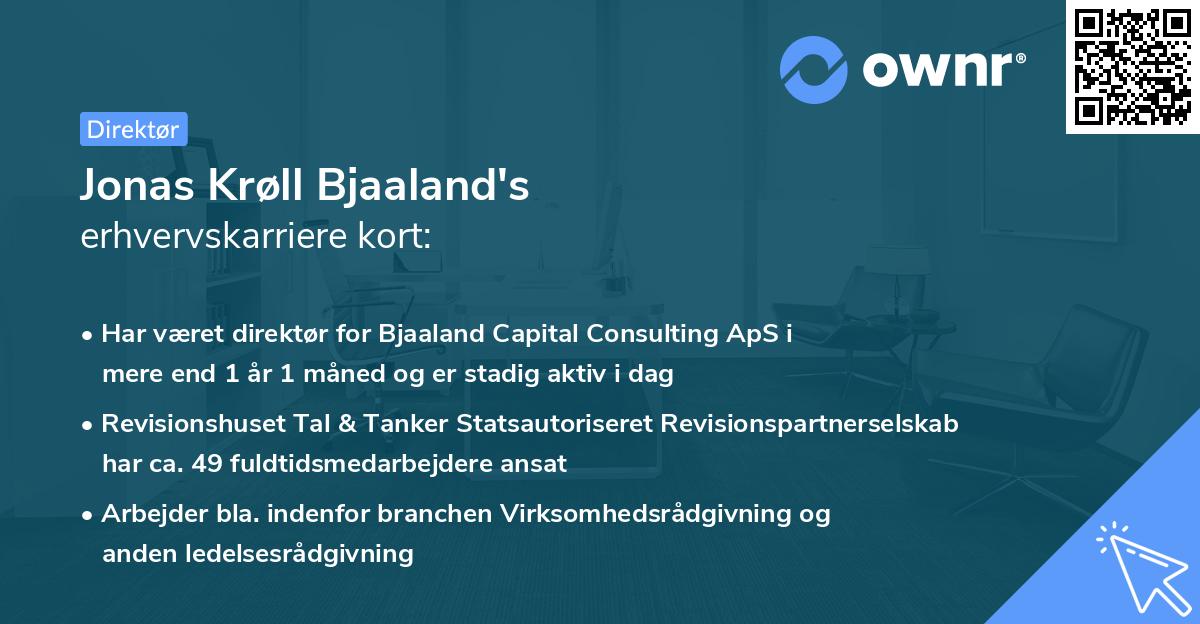 Jonas Krøll Bjaaland's erhvervskarriere kort