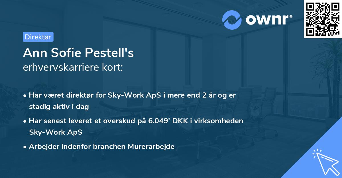Ann Sofie Pestell's erhvervskarriere kort