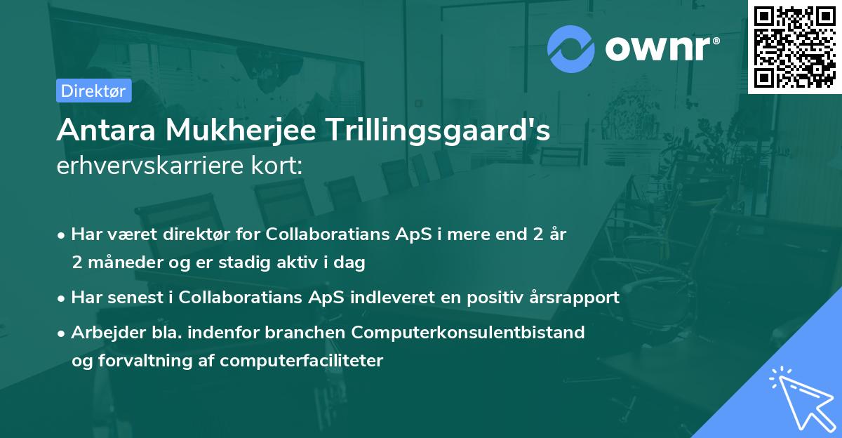 Antara Mukherjee Trillingsgaard's erhvervskarriere kort