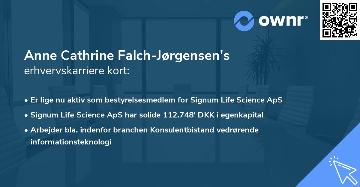 Anne Cathrine Falch-Jørgensen's erhvervskarriere kort