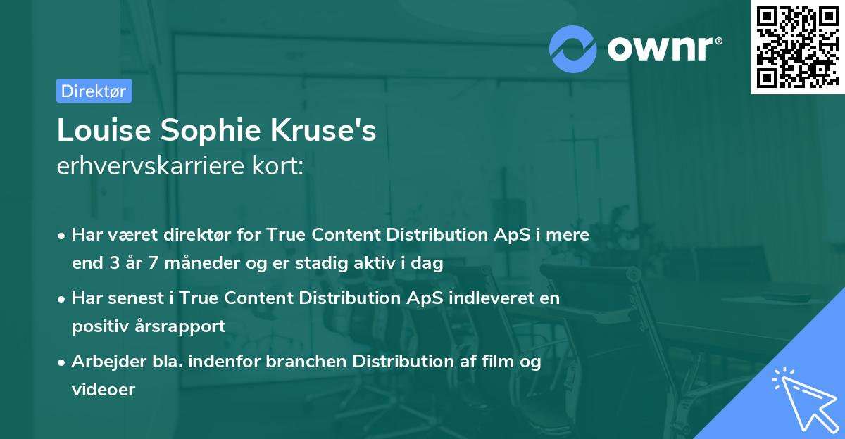 Louise Sophie Kruse's erhvervskarriere kort