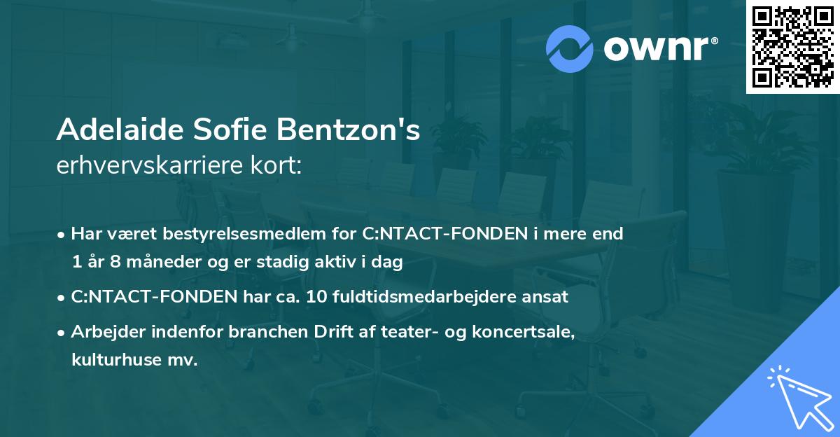 Adelaide Sofie Bentzon's erhvervskarriere kort
