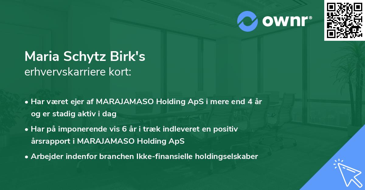 Maria Schytz Birk's erhvervskarriere kort