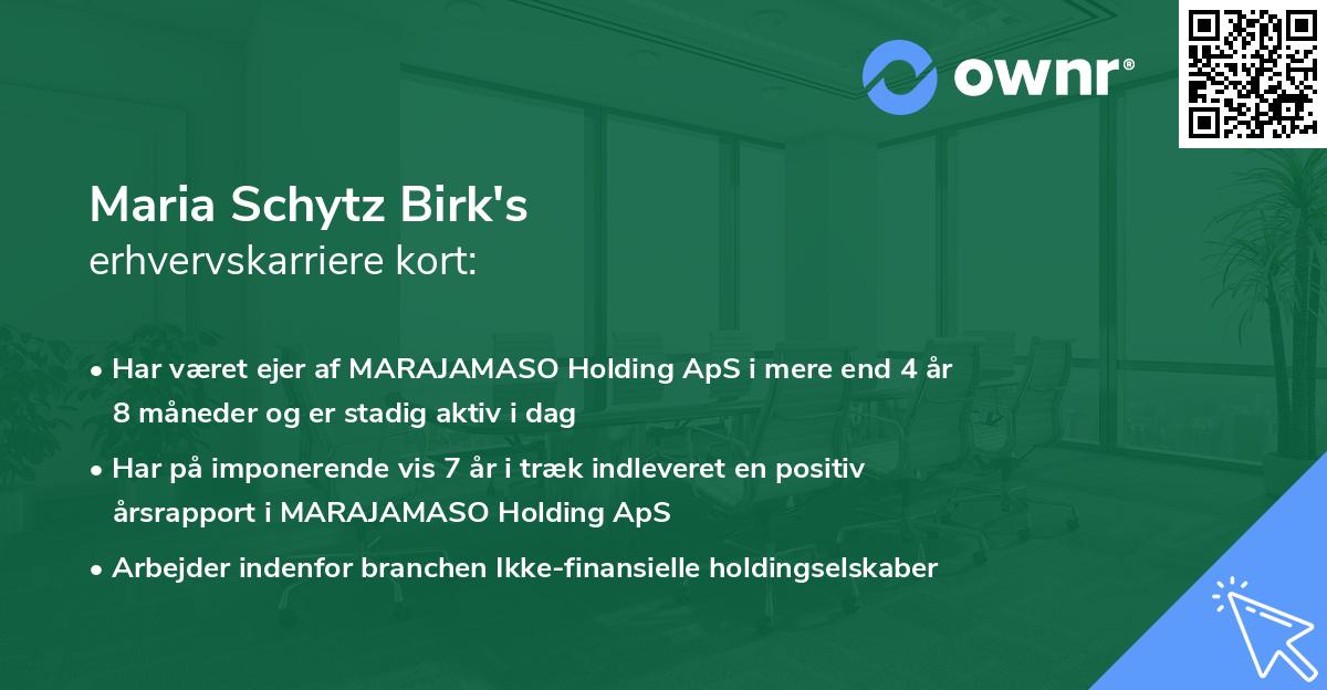 Maria Schytz Birk's erhvervskarriere kort