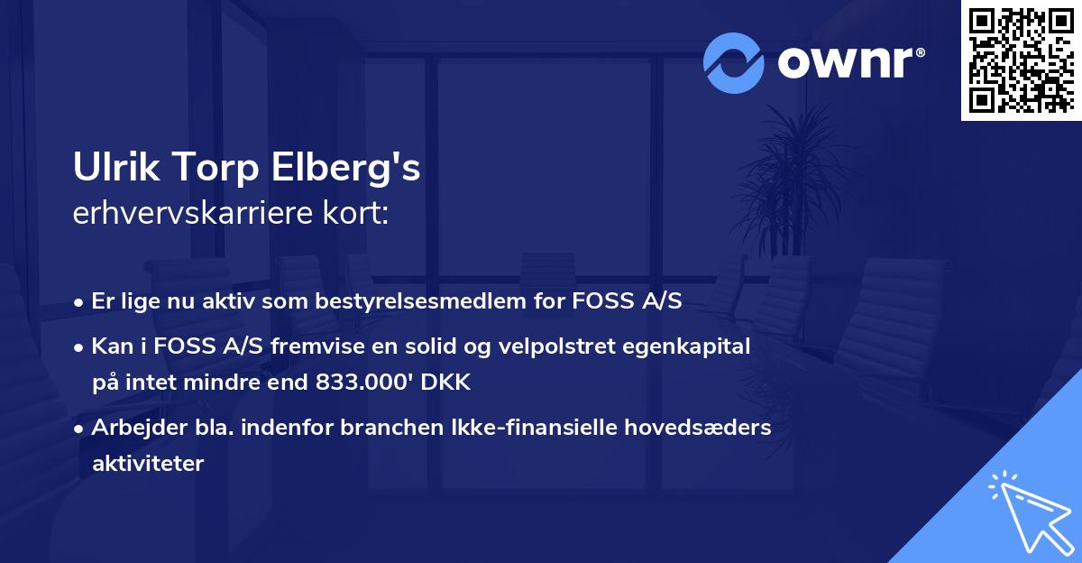 Ulrik Torp Elberg's erhvervskarriere kort
