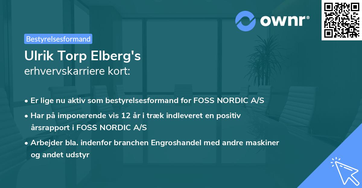 Ulrik Torp Elberg's erhvervskarriere kort