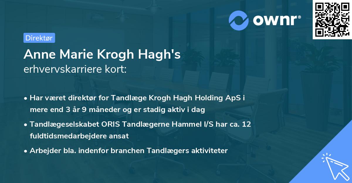 Anne Marie Krogh Hagh's erhvervskarriere kort