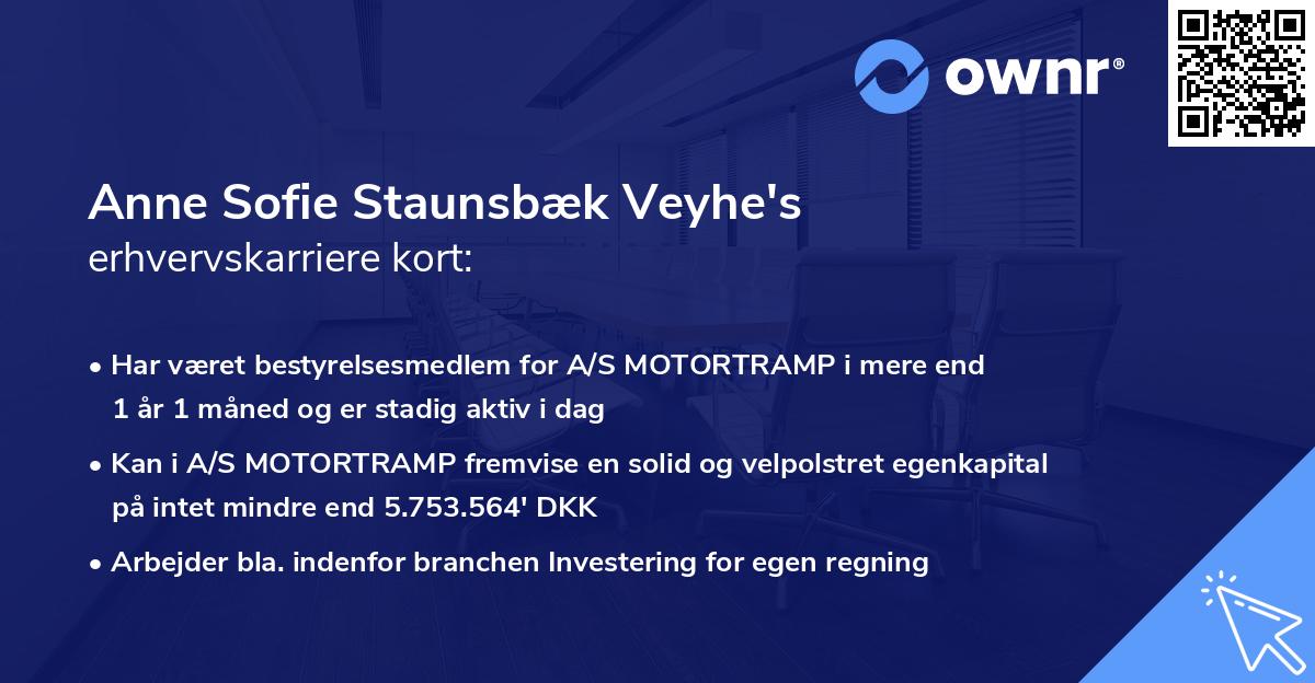 Anne Sofie Staunsbæk Veyhe's erhvervskarriere kort
