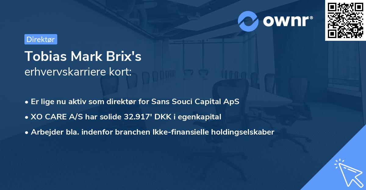 Tobias Mark Brix's erhvervskarriere kort