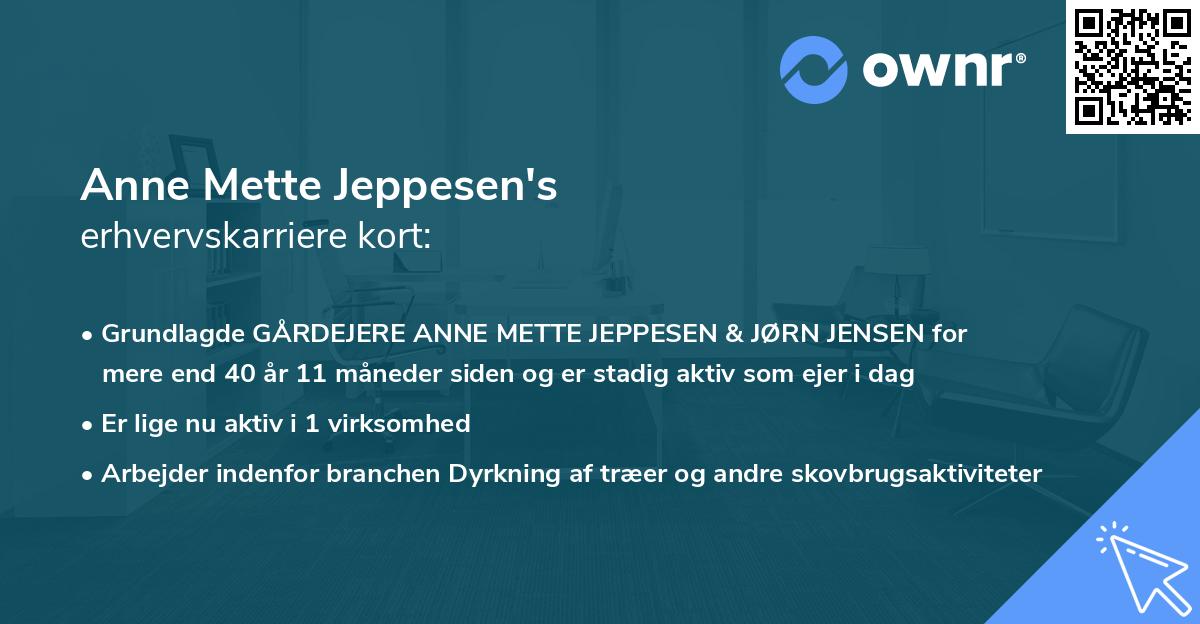 Anne Mette Jeppesen's erhvervskarriere kort