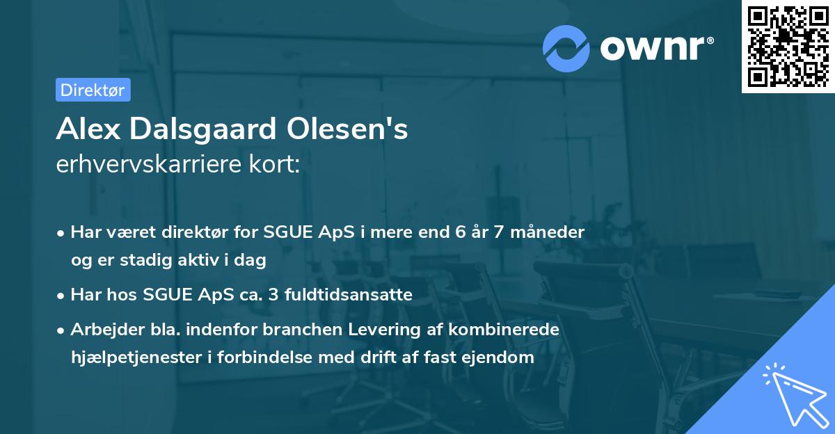Alex Dalsgaard Olesen's erhvervskarriere kort