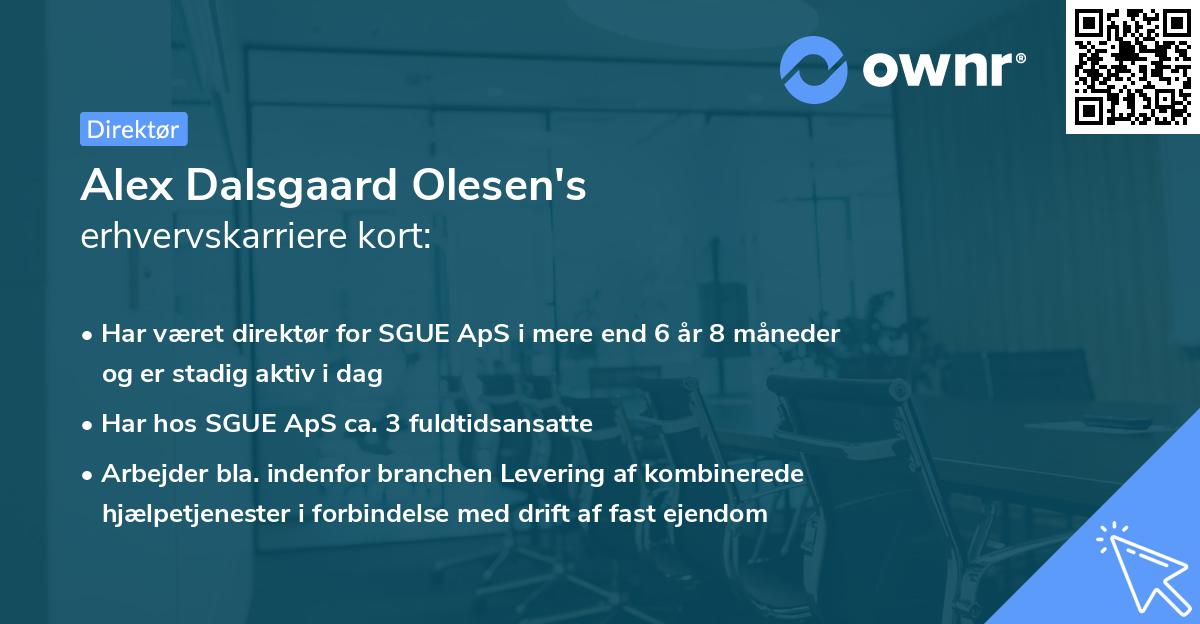 Alex Dalsgaard Olesen's erhvervskarriere kort