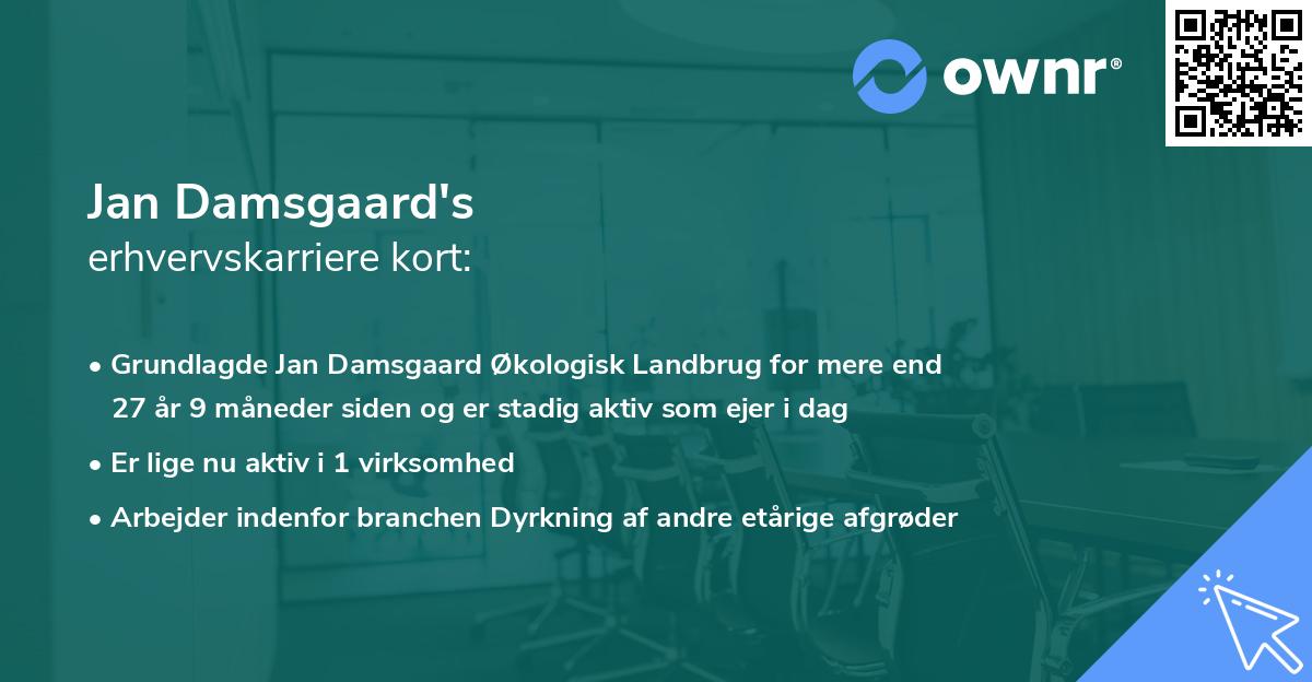 Jan Damsgaard's erhvervskarriere kort