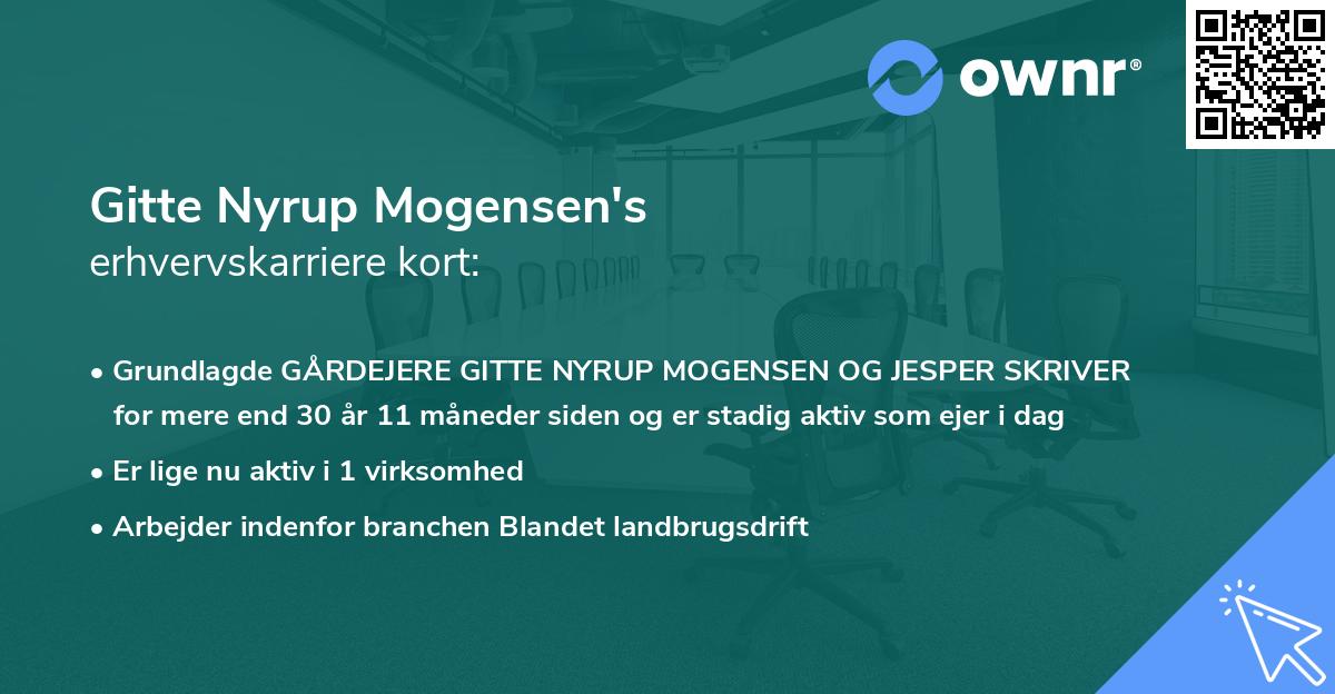Gitte Nyrup Mogensen's erhvervskarriere kort