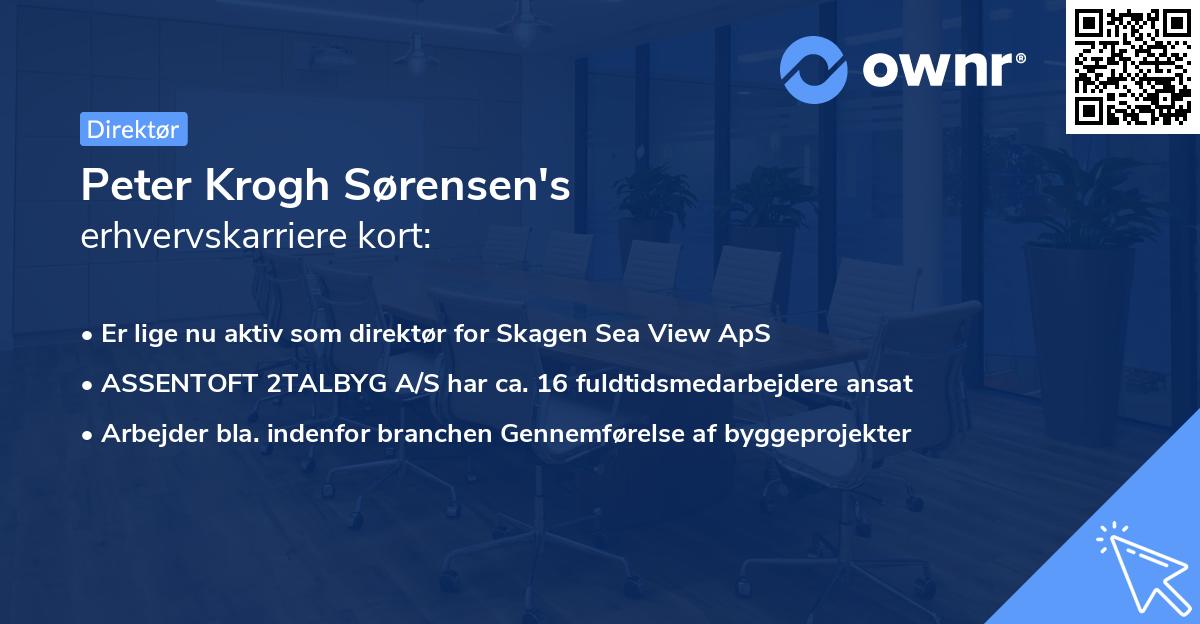 Peter Krogh Sørensen's erhvervskarriere kort