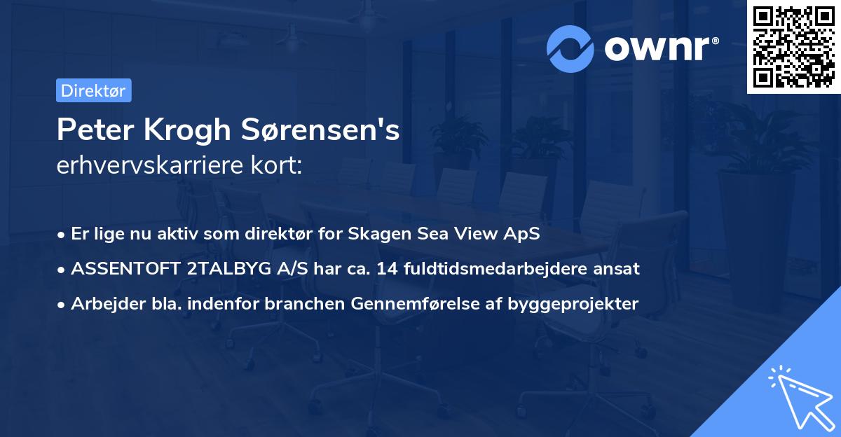 Peter Krogh Sørensen's erhvervskarriere kort