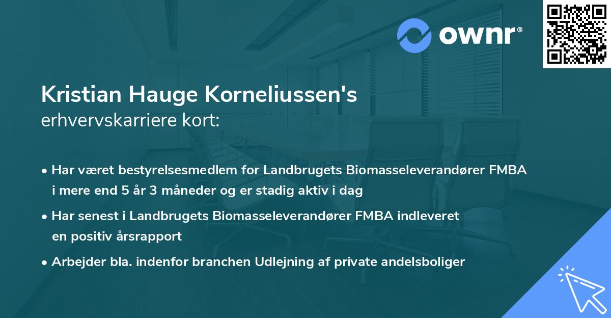 Kristian Hauge Korneliussen's erhvervskarriere kort