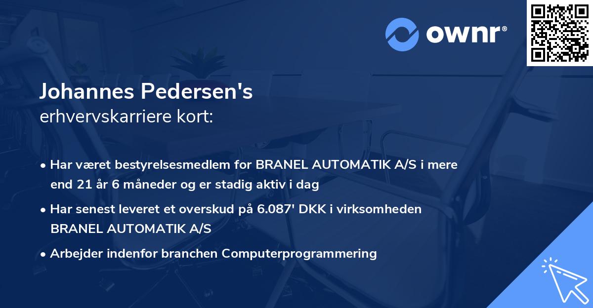 Johannes Pedersen's erhvervskarriere kort