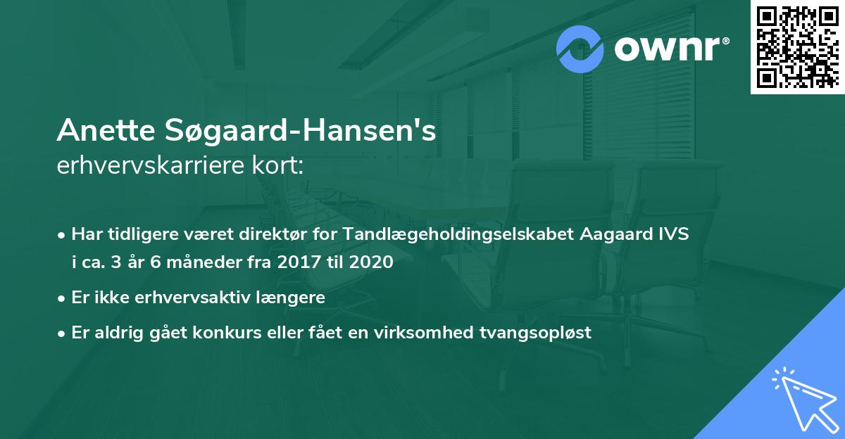 Anette Søgaard-Hansen's erhvervskarriere kort