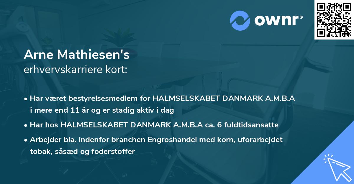 Arne Mathiesen's erhvervskarriere kort