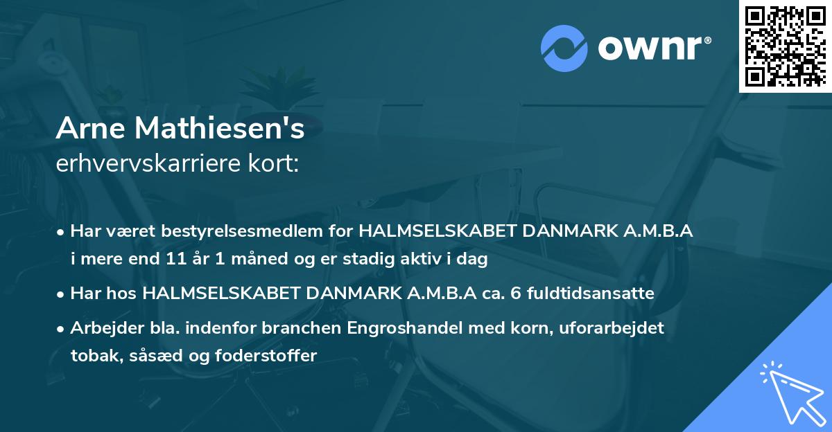 Arne Mathiesen's erhvervskarriere kort