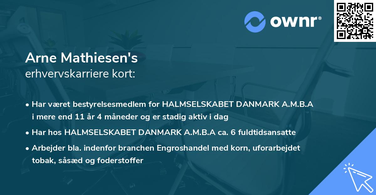 Arne Mathiesen's erhvervskarriere kort