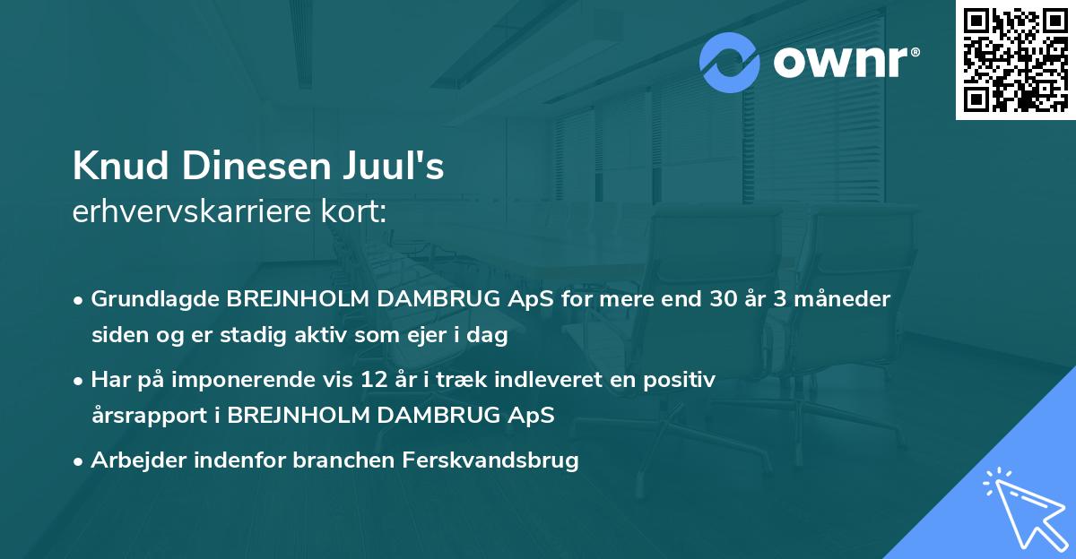 Knud Dinesen Juul's erhvervskarriere kort