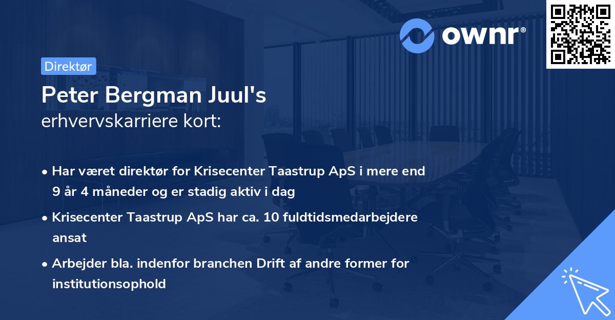 Peter Bergman Juul's erhvervskarriere kort