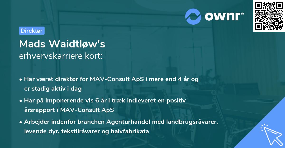 Mads Waidtløw's erhvervskarriere kort
