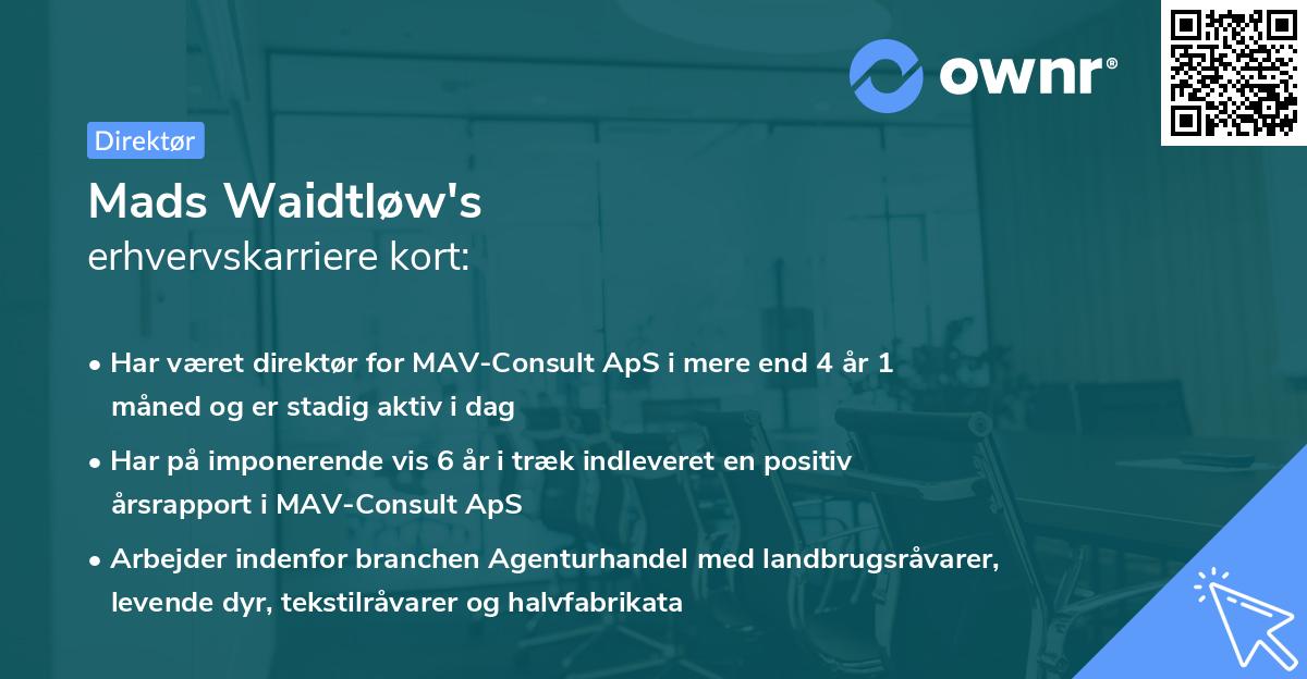 Mads Waidtløw's erhvervskarriere kort