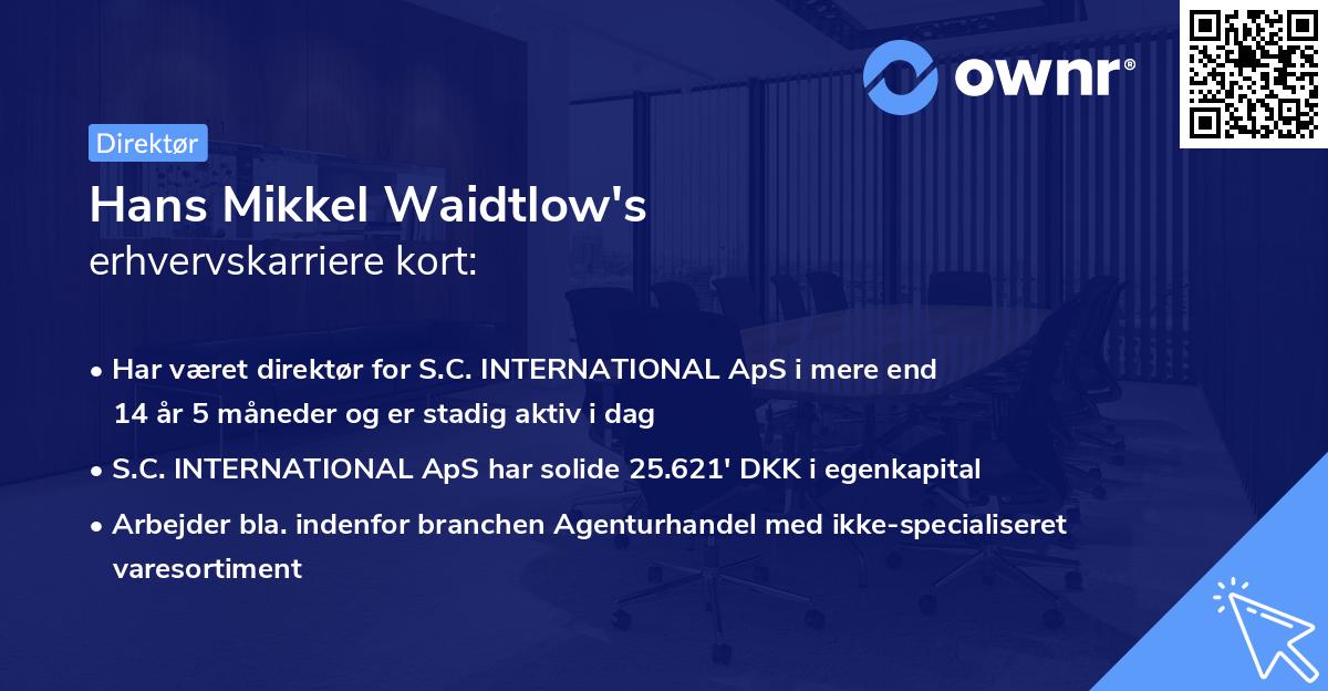 Hans Mikkel Waidtlow's erhvervskarriere kort