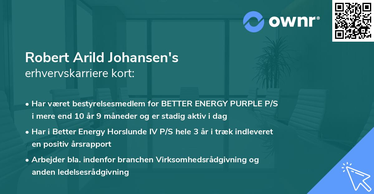 Robert Arild Johansen's erhvervskarriere kort