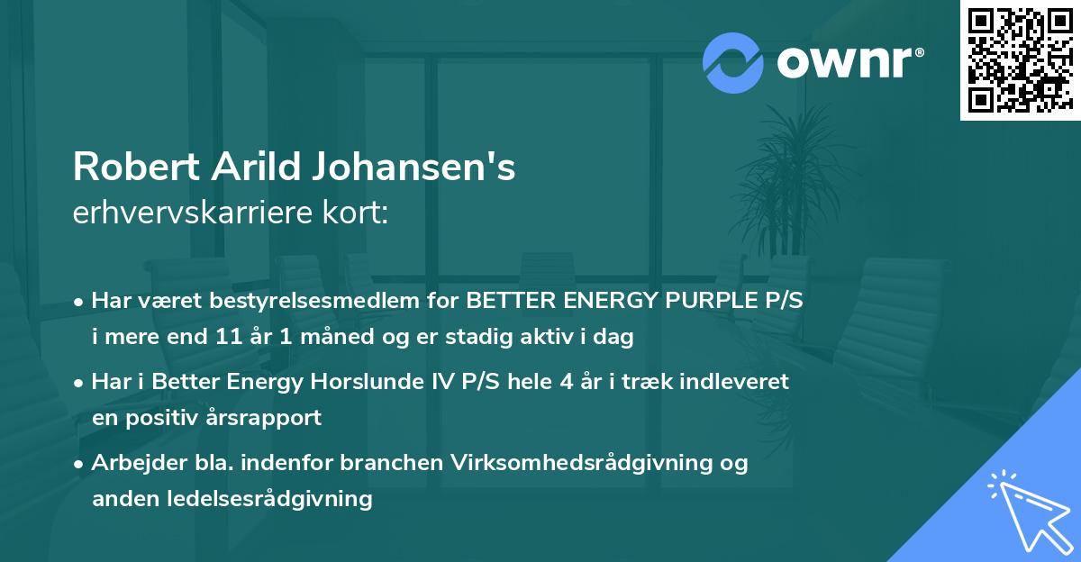 Robert Arild Johansen's erhvervskarriere kort