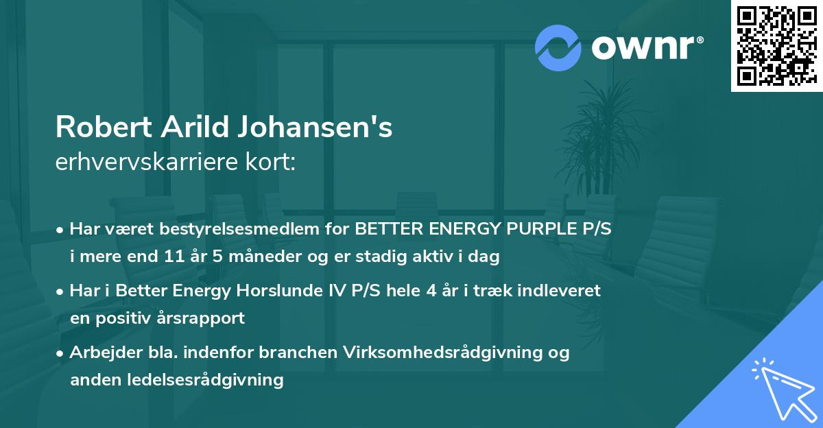 Robert Arild Johansen's erhvervskarriere kort