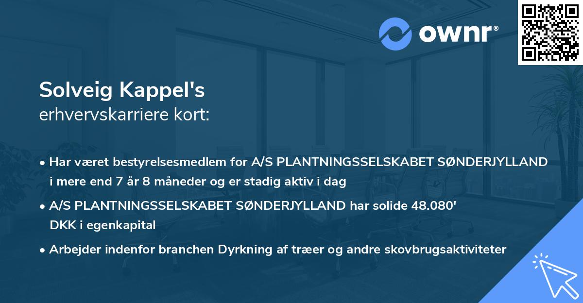 Solveig Kappel's erhvervskarriere kort