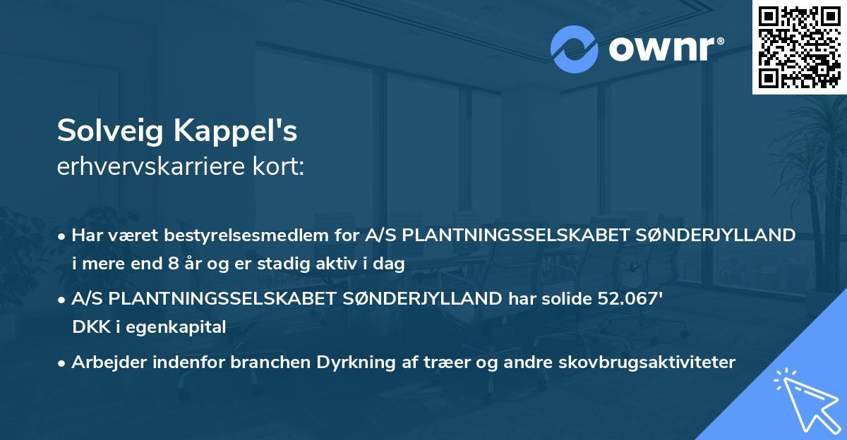 Solveig Kappel's erhvervskarriere kort