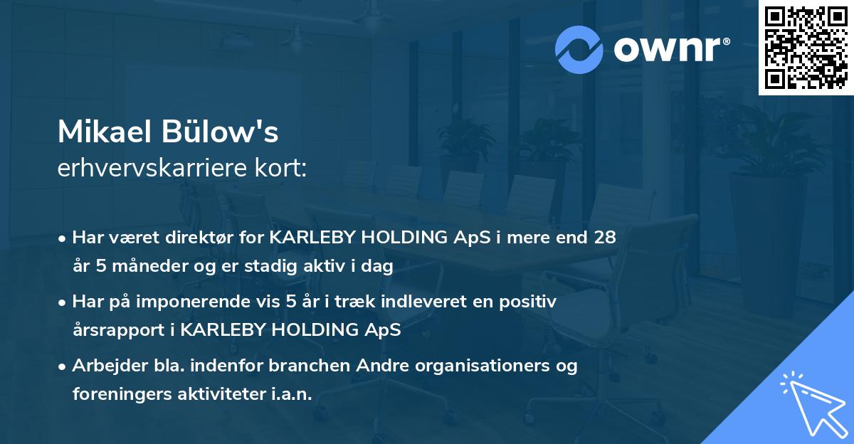 Mikael Bülow's erhvervskarriere kort